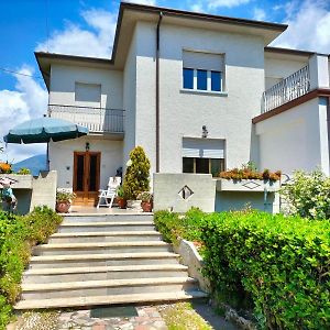 B&B Riccidamare